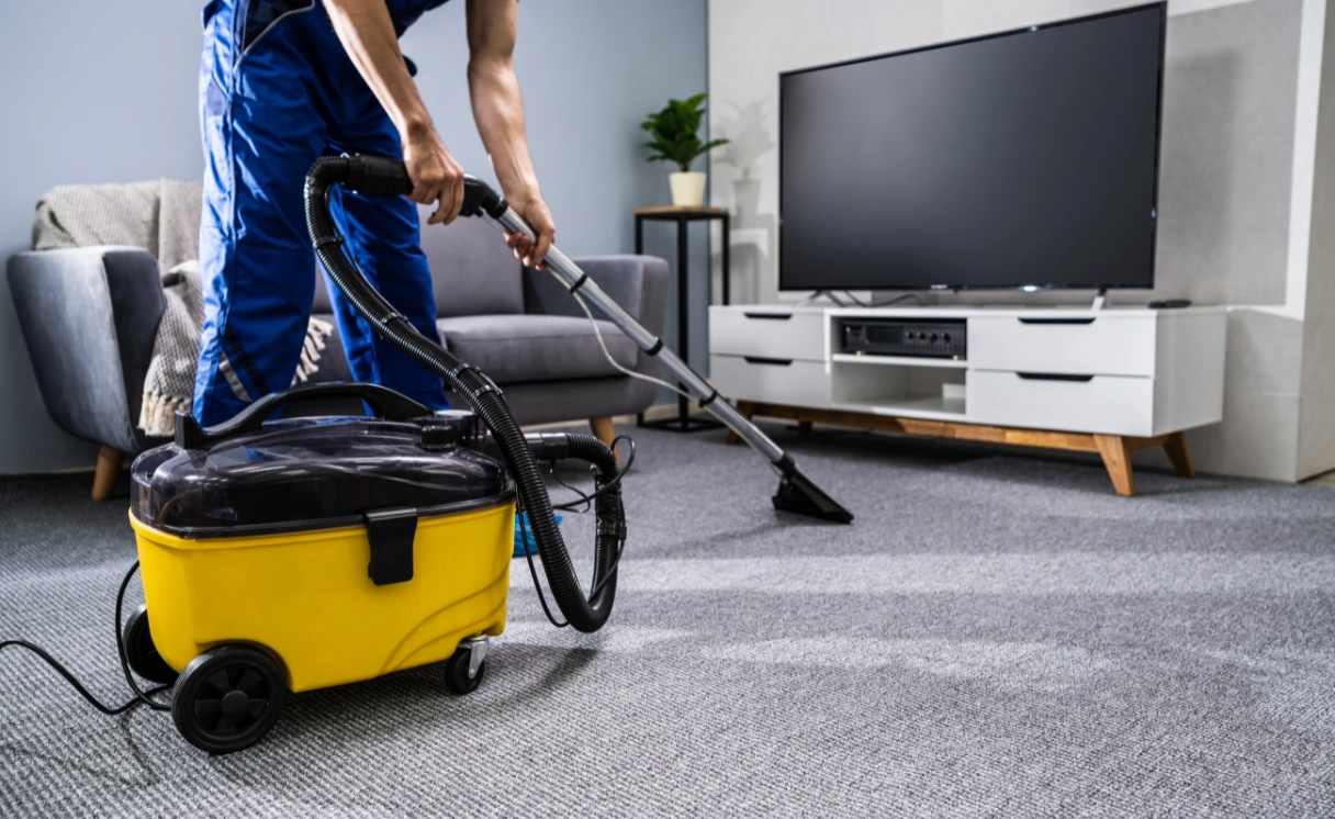 Extract Upholstery Cleaning Toolangi Contact Office
